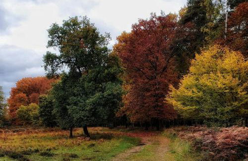 Ferienwohnung am Atelier Horn - Photo 25