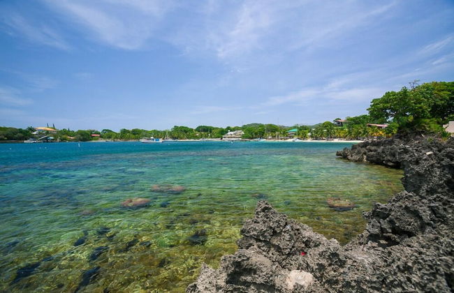 Coral Vista #3 - Foto 27