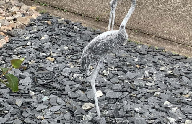 Zen Cottage, Cullen - Sleeps 4, Garden & Pets Ok - Foto 15