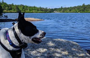 House Under The Cliff - Foto 7