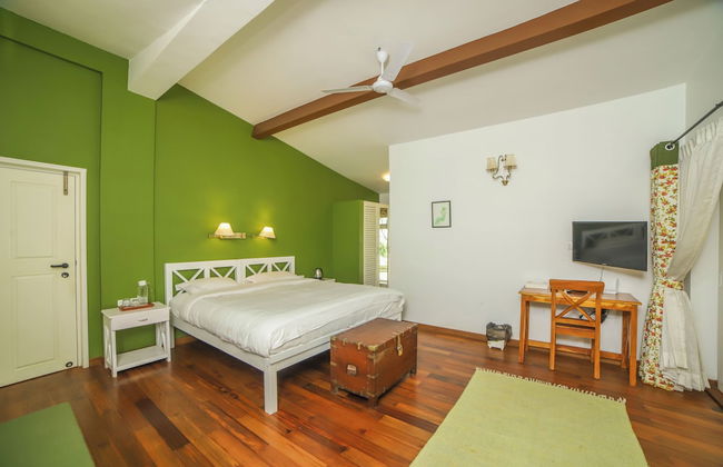 Rayne Forest - Foto 4