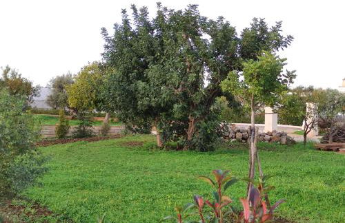 Residenza "I Tre Carrubi " - Foto 43