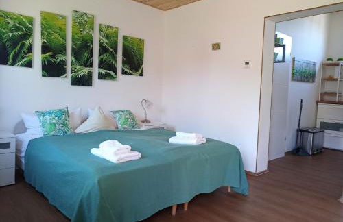 Gutshof Kehnert - Pension & Ferienwohnungen - Foto 22