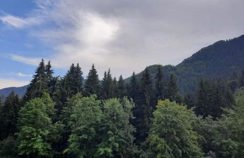 La casa del Cucù al Ravascletto, 900mt from cable car - Foto 22