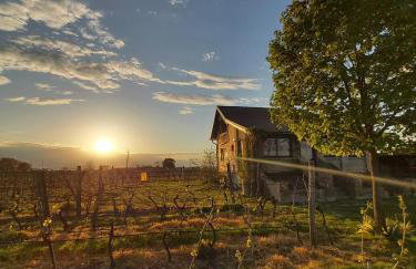 Izletište Opatovac - Foto 22