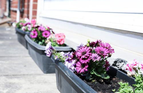 Netherton House - Foto 18