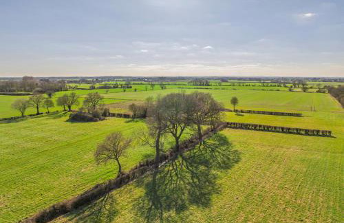 Alberts Dairy - Foto 15