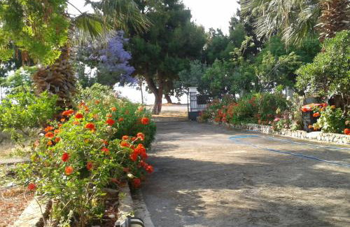 Elea Guesthouse - Photo 22