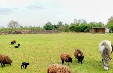 Les Gîtes de La Roche Élie Chez Léonie - Foto 15