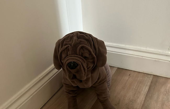 Spinners End - Photo 2