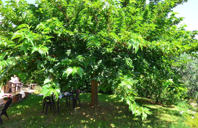 Country House Nonna Rana - Foto 52