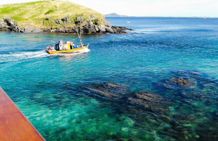 Studios Verdes hospedagens - Photo 67