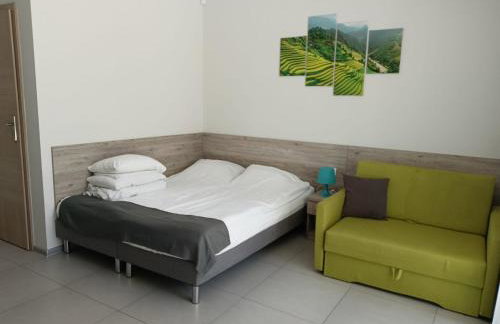 Apartamenty Wilczyca - Photo 37