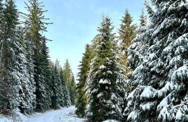 Tannenduft Freudenstadt - Foto 34