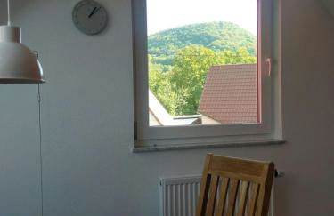 Gäste-Appartement-Kirsammer - Foto 18