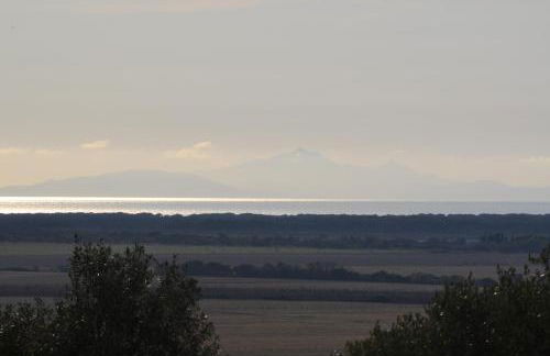 Bio Agriturismo Le Giunchiglie - Foto 19