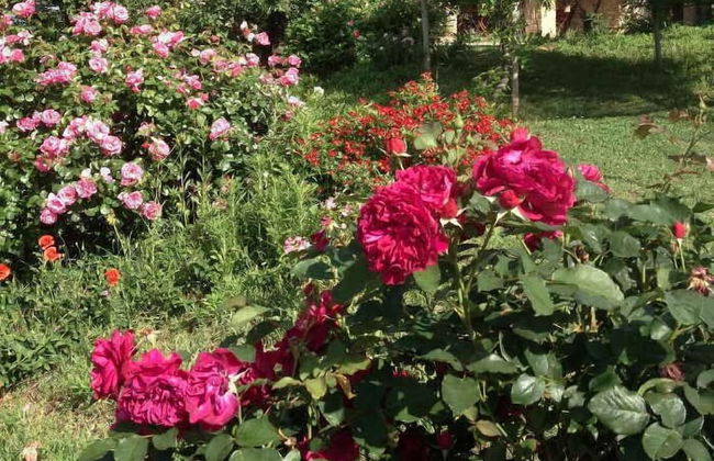 Casa Isabella - Foto 52