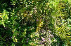 QUIET HOUSE GARDEN NAPLES-POMPEI-SORRENTO - Foto 7