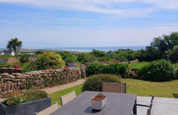 Les hortensias de papy - Foto 1