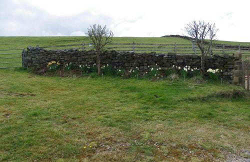 Shay Bank Cottage - Foto 28