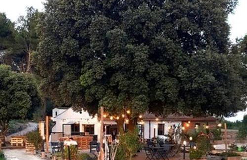 Villa en Provence piscine au calme entre Arles Nîmes Avignon - Foto 41