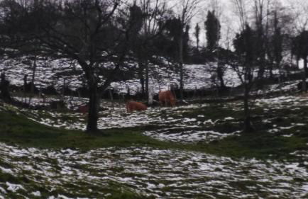 Casa Gloria - Foto 27