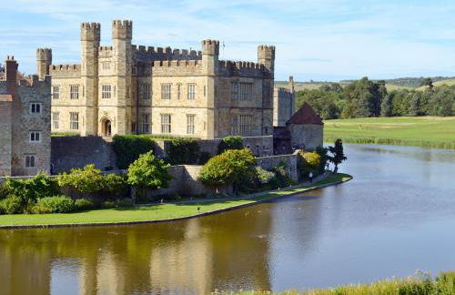 Tawny Owls - Foto 10