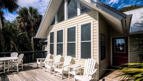 Green Parrot - Photo 5