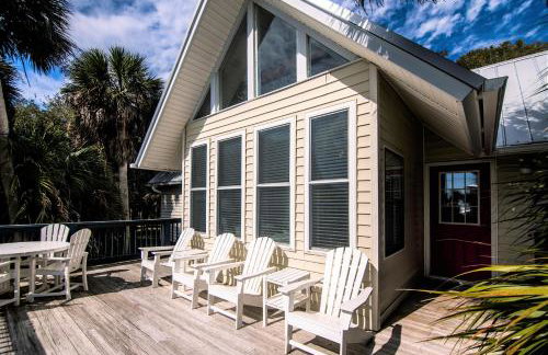 Green Parrot - Foto 5