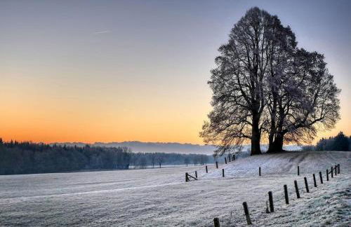 Grünsberg Comfortable holiday residence - Foto 31