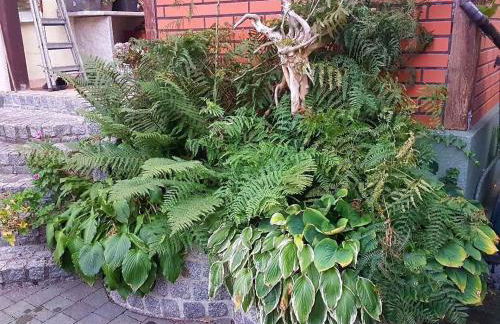 Holiday home in Coswig 3105 - Foto 22