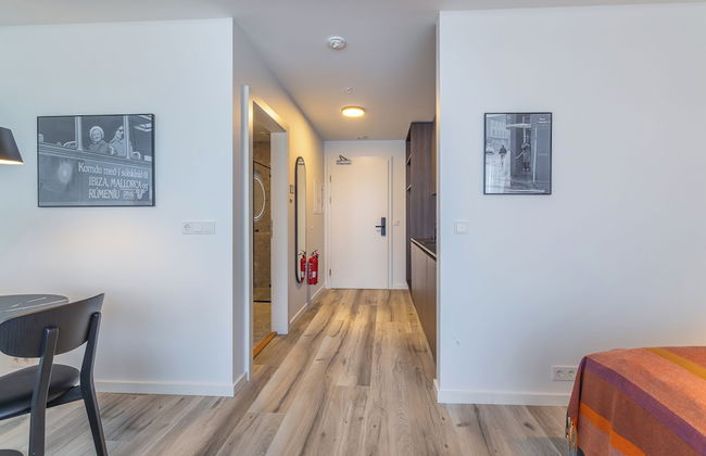 Hlemmur Suites - Foto 16