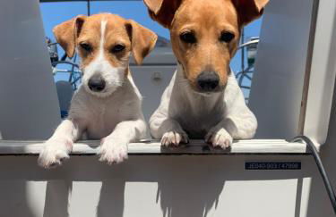 Sleep aboard a modern sailboat in Oeiras - Foto 21