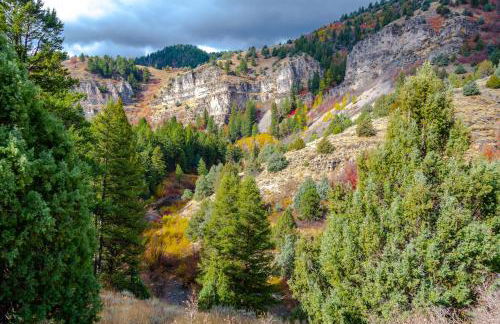 7 Bed 5 Bath Vacation home in Fish Haven - Foto 42