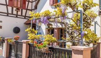 Les Tilleuls - Foto 4