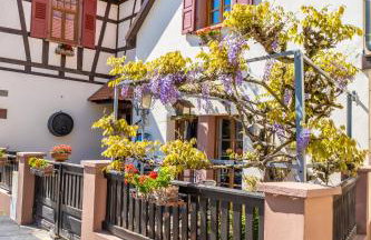 Les Tilleuls - Foto 4