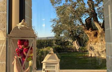 Masseria Sacramento - Foto 107