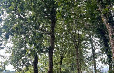 La Fontaine - Foto 31