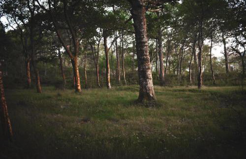 Lodge at Loch Lomond - Foto 26