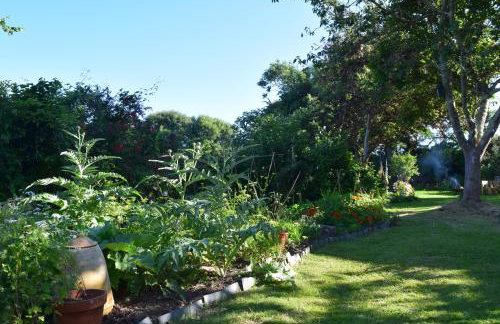Large Period House in Mullion - Foto 39