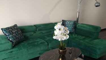 Charmant studio mezzanine centre ville - Foto 2