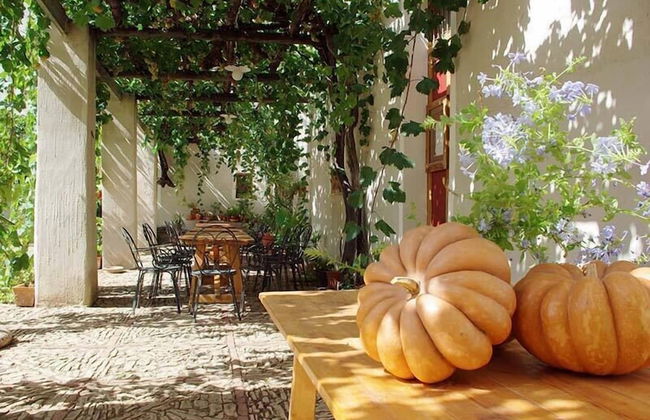 Baglio Fontanasalsa - Foto 28