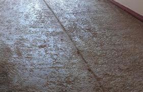 Casa Ana -Cubelles - Foto 40