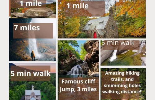 Plant House - Foto 9