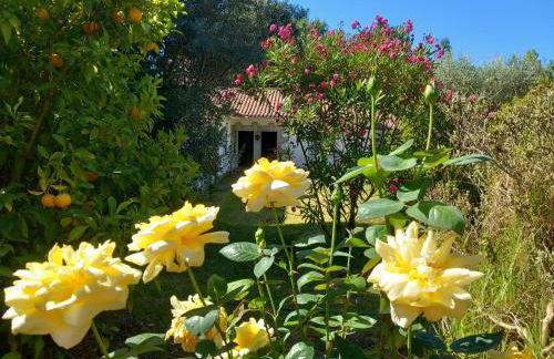 Casas Do Zagão - Turismo Rural - Foto 44