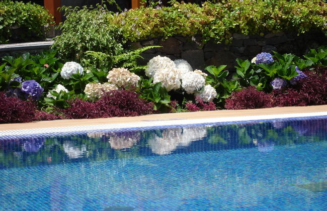 Casa da Capelinha - Foto 38