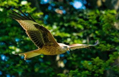 Casa Melchor - Photo 69