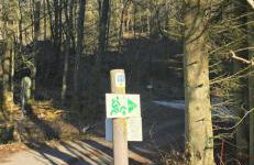 RINGZEIT-Lodge - Foto 70