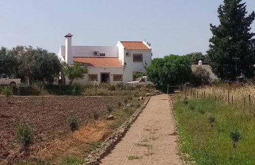 Herdade Joana Dias by PortusAlacer - Foto 3