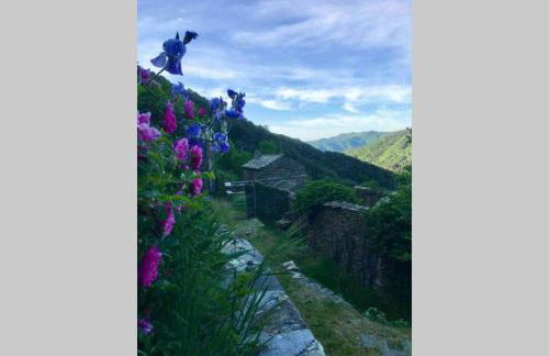 La Pellegrine, Parc national des Cévennes - Foto 12